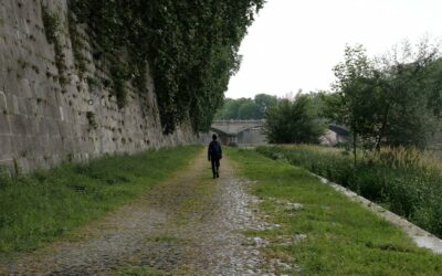 Carta di indentità